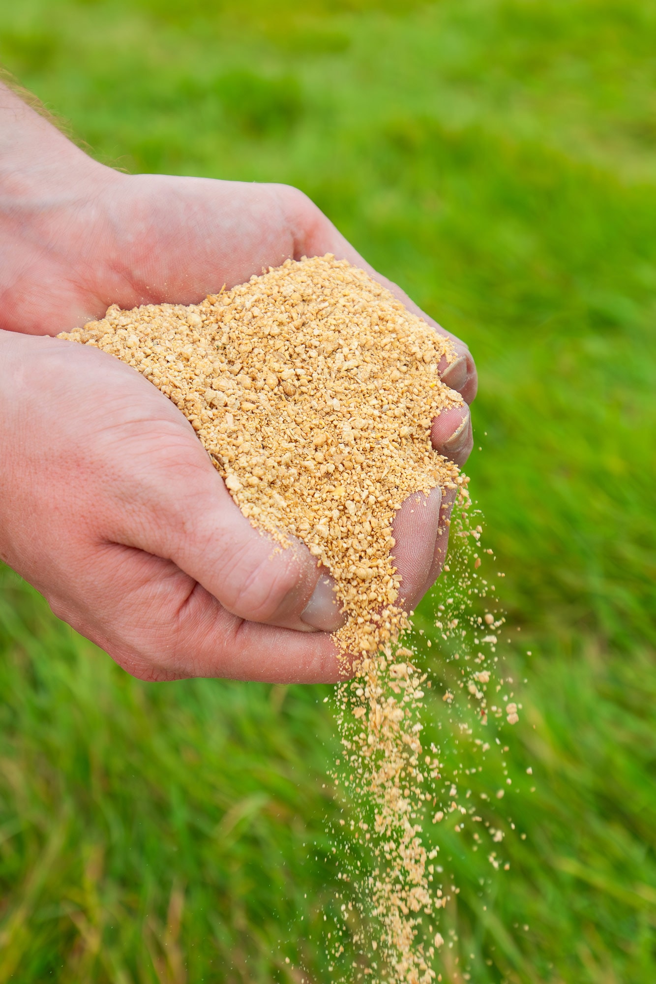 Soya meal pouring through a farmer's hands